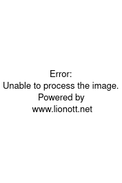 PL - ARMSTRONG (2019) DOKUMENT