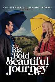 DE - A Big Bold Beautiful Journey (2025)