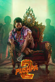 STH - Pushpa 2 - The Rule