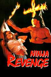 EN - Ninja Vengeance (1993)