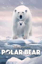 D+ - Polar Bear  (2022)