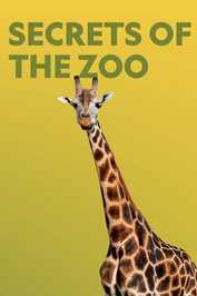 D+ - Secrets of the Zoo (US)