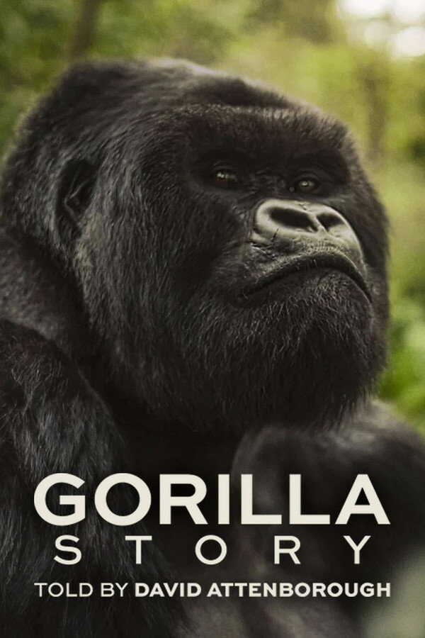 EN - A Gorilla Story: Told by David Attenborough (2026)